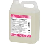 Концентрат для чистки и антимикробной обработки PROSEPT Cooky Stuff 245-5