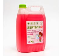 Средство для стёкол SEPTIVIT "BUBBLE GUM", 5 л 222_5