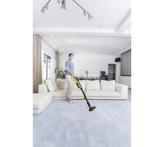 Вертикальный пылесос сухой уборки KARCHER VC 4s Cordless 1.198-280