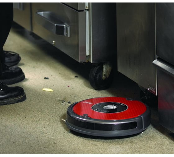 Робот-пылесос iRobot Roomba 625 Professional
