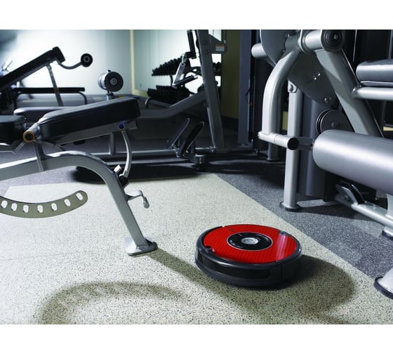 Робот-пылесос iRobot Roomba 625 Professional