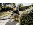 Хозяйственный пылесос Karcher WD 6 P V-25/8/22T 1.628-313.0 5