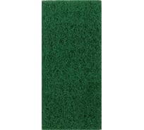 ПАД ручной OZONE 250x120 мм, 1 шт. SAB-A12/25GREEN