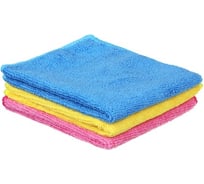 Набор салфеток из микрофибры VETTA универсальные, 2 шт, 25x30 см, 220 г/кв.м 448-221