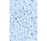 Салфетка для обезжиривания безворсовая TILFLEX, размер 320x360 мм, 25 листов в упаковке TL93/25 6