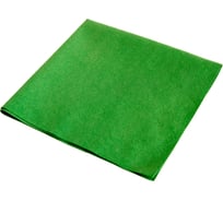 Салфетка для стекла и глянцевых поверхностей РОСМОП зеленый, 40х40 см (12 шт. в упаковке) MS-40Gn