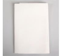 Универсальная салфетка для стёкол Beroma 50x45 см 07702431
