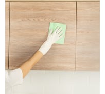 Вискозные салфетки PALISAD Home перфорированные, 300x380 мм, 5 шт. 923205