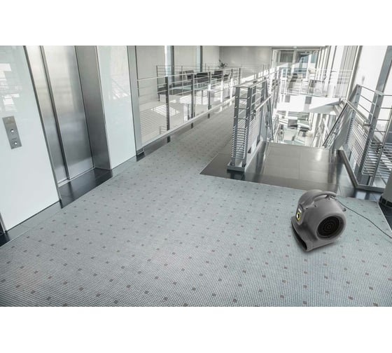 Сушилка для ковров Karcher AB 20 Ec 1.004-062.0