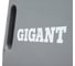 Уборочная тележка 2 съемных ведра 25 л, с отжимом, база хром Gigant GCC-02 10