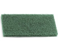 Губка средне-высокой степени абразивности TTS, 25х12х2 см 00008712