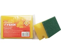 Профильные губки для посуды EUROHOUSE 2 шт, 80х55х45 мм 13285