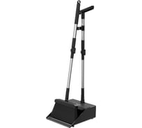 Щетка и совок ZETTER М, цвет черный BD-BS-01-MB