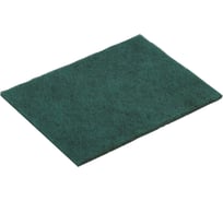 Мини-пад Karcher зеленый, 15.5х23.5 см, 10 шт 3.345-504.0