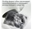 Губка для мытья посуды Jundo Премиум 4 штуки 4903720021484 3
