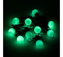 Светодиодная гирлянда Gauss Белт Лайт, серия Holiday, 10 ламп, 7.7 м, IP44, зеленый, 1/6 HL061