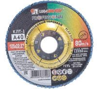 Круг лепестковый торцевой плоский КЛТ1 (125х22 мм; А 40; 14А 40/Р40) Luga-Abrasiv D91012522140400