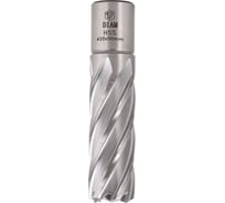 Сверло корончатое HSS Diam 20x50 Extra Line (металл) 320313