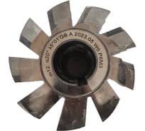 Фреза червячная М12, 170x200x50 мм, 20°, кл. А Металлорежущий инструмент 4142925