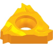 Пластина резьбовая ZCC-CT RT16.01N-11W YBG205