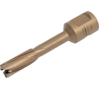 Сверло корончатое (12х55 мм; Weldon 19) Karnasch 20.1316-012