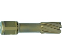 Сверло корончатое (195х55 мм; Weldon 32) Karnasch 20.1316-195