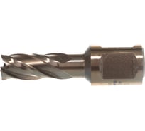 Сверло корончатое (12х30 мм; Weldon 19) Karnasch 20.1260U-012