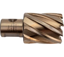 Сверло корончатое (32х30 мм; Weldon 19) Karnasch 20.1260U-032