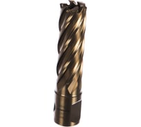 Сверло корончатое (18х55 мм; Weldon 19) Karnasch 20.1270U-018