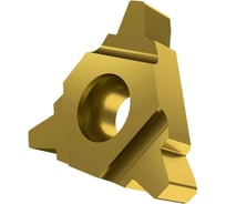 Пластина резьбовая 22ER5TR, APU20, 10 шт АКСИС 00001630477