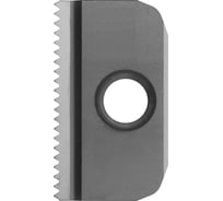 Пластина резьбовая 21N1.5ISO, APU20, 10 шт АКСИС 00001817415