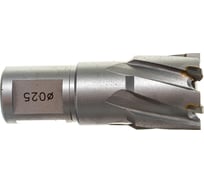 Сверло по металлу корончатое Weldon 19 мм HM (25х35х60 мм) D.BOR 477250102D