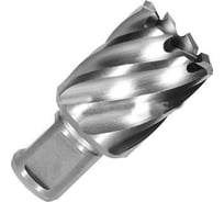 Сверло по металлу корончатое Weldon 19 мм HSS-Co (32х30х55 мм) D.BOR 474320102D