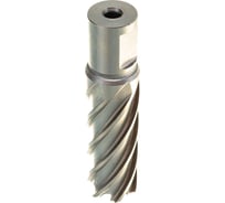 Сверло по металлу корончатое Weldon 19 мм HSS-Co (22х55х70 мм) D.BOR 474220202D
