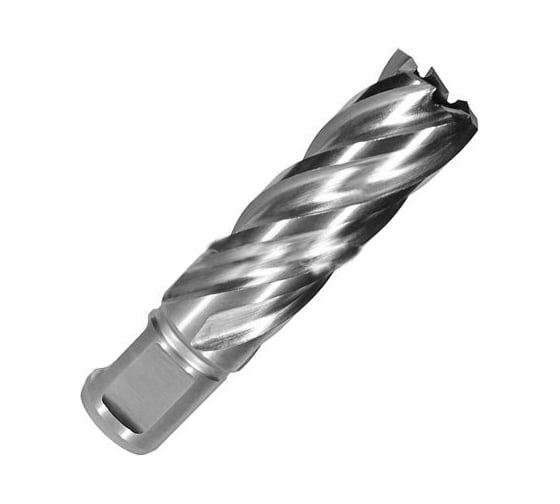 Сверло по металлу корончатое Weldon 19 мм HSS-Co (20х55х70 мм) D.BOR 474200202D 1