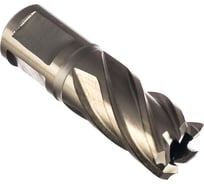 Сверло по металлу корончатое Weldon 19 мм HSS-Co (19х30х55 мм) D.BOR 474190102D