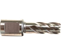 Сверло по металлу корончатое Weldon 19 мм HSS-Co (13х30х55 мм) D.BOR 474130102D