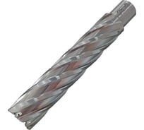 Сверло корончатое PROTON 24x110 HSS УТ000000402