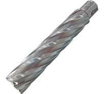 Сверло корончатое PROTON 25x110 HSS Т0000026942