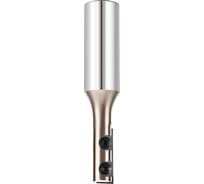 Фреза прямая (12 мм, 100 мм, хвостовик 20 мм) со сменными ножами ROTIS 141123020E