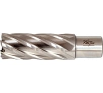 Сверло корончатое HSS 12x55 мм, Weldon 19 AktiTool 70155012