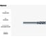 Фреза VSM-4E-D10.0 KGM405 ZCC-CT 00001217628 3