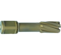Сверло корончатое (25х55 мм; Weldon 19) Karnasch 20.1316-25