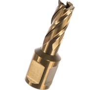 Корончатое сверло Karnasch 12х30 GOLD-LINE 20.1260u-12