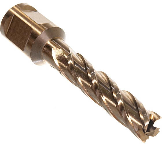 Корончатое сверло Karnasch 12х55 GOLD-LINE 20.1270u-12 1