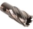 Корончатое сверло Karnasch 22х30 GOLD-LINE 20.1260u-22 1