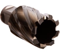 Корончатое сверло Karnasch 30х30 GOLD-LINE 20.1260u-30