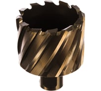 Корончатое сверло Karnasch 50х30 GOLD-LINE 20.1260u-50