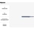 Фреза GM-2EP-D2.0-m10 KMG303 ZCC-CT 00001211137 2