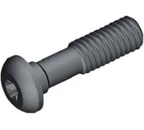 Винт Cm6-25c ZCC-CT 00001208454